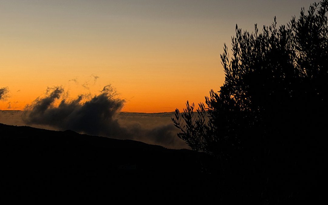Drei Tage Andalusien – viel Sonne, große Hoffnung und diese eine Straße …