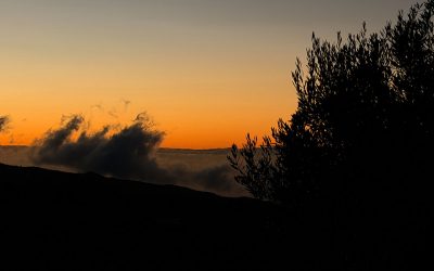 Drei Tage Andalusien – viel Sonne, große Hoffnung und diese eine Straße …