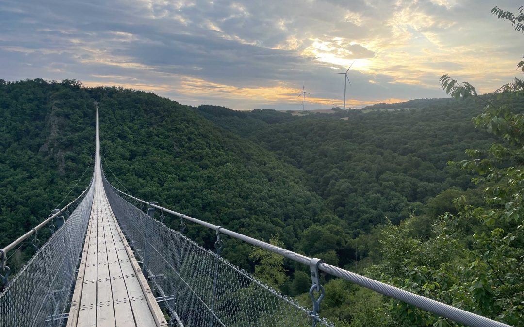 NUR MAL KURZ ZUR GEIERLAY