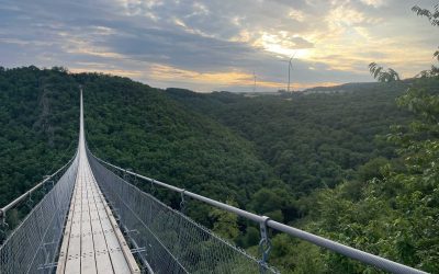 NUR MAL KURZ ZUR GEIERLAY